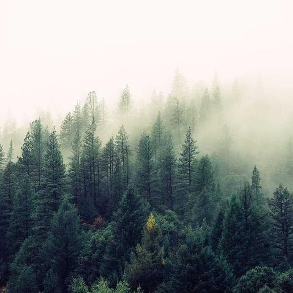missy mazzoli Quotes Great Things,Energy,Silent