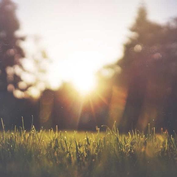 e. m. forster Quotes Favourite,Austen,Jane