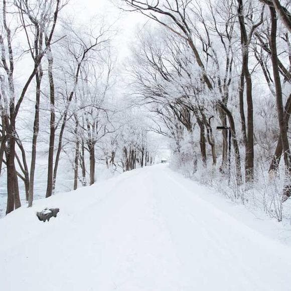 soren kierkegaard Quotes Spiritual Awareness,Despair,Authenticity