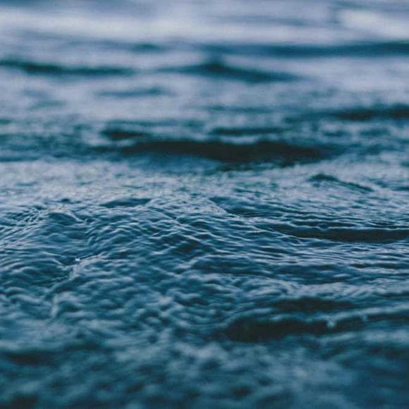 noah weinberg Quotes Fear,Encouragement,Life