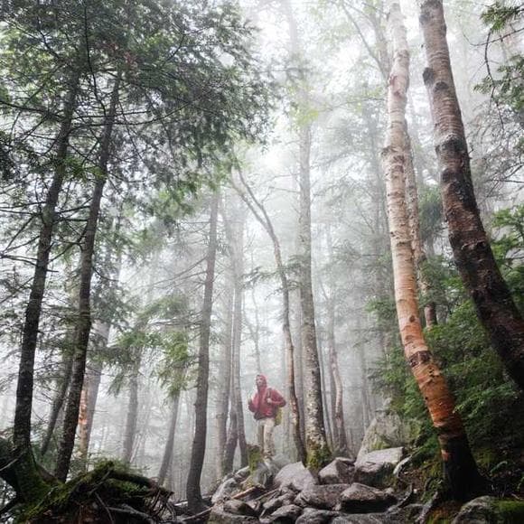 pema chodron Quotes Difficult Times,Seems,Ideals