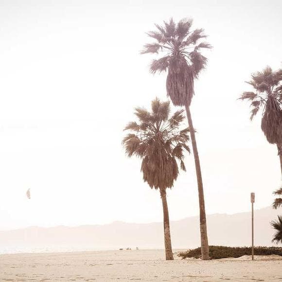 jim rohn Quotes Greatness,Awareness,Light