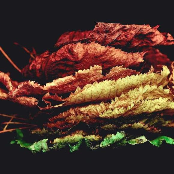 eyedea Quotes Backgrounds,Real Things,Plight