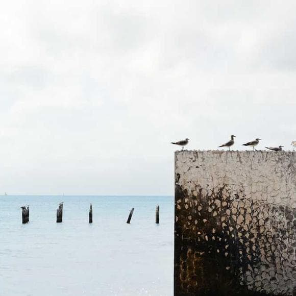 veronica roth Quotes Imaginary,Backyards,Imaginary World