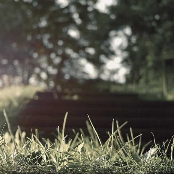 andrew solomon Quotes Happiness,Truth,Depression