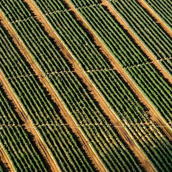 sophie kinsella Quotes Fields,Buying,Farming
