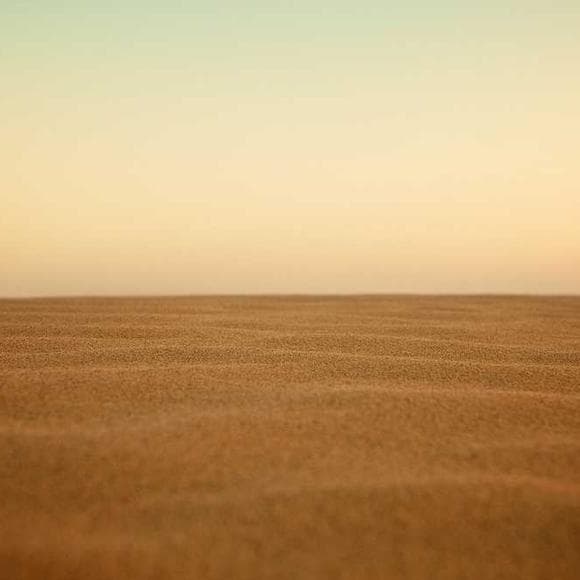 ken danby Quotes Handicapped,Barren