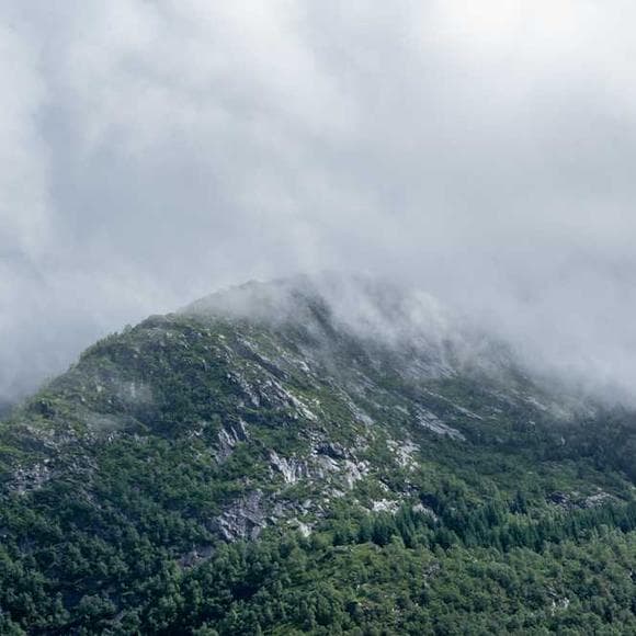 lasse viren Quotes Climbs,Barriers,Motivational Sports