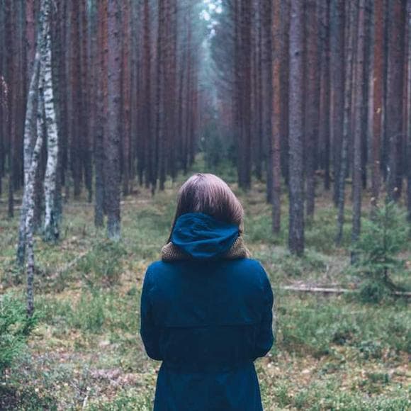 hermann hesse Quotes Translate,Sentimentality,Basking