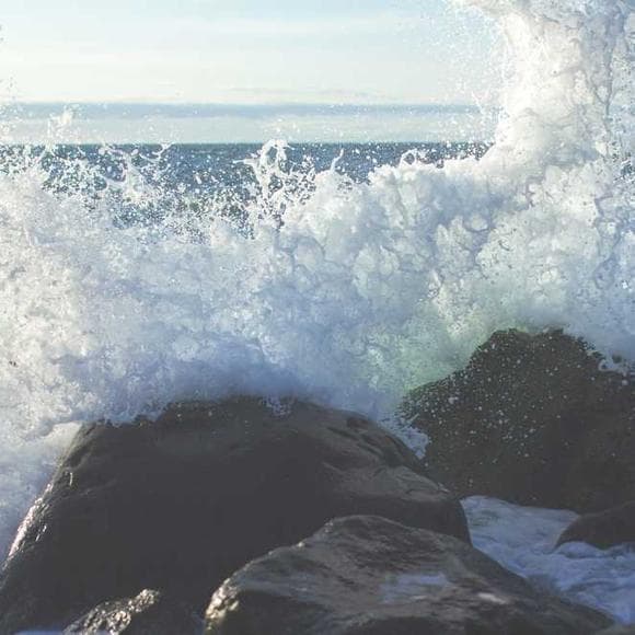 niccolo machiavelli Quotes Grief,Cases,Goodness