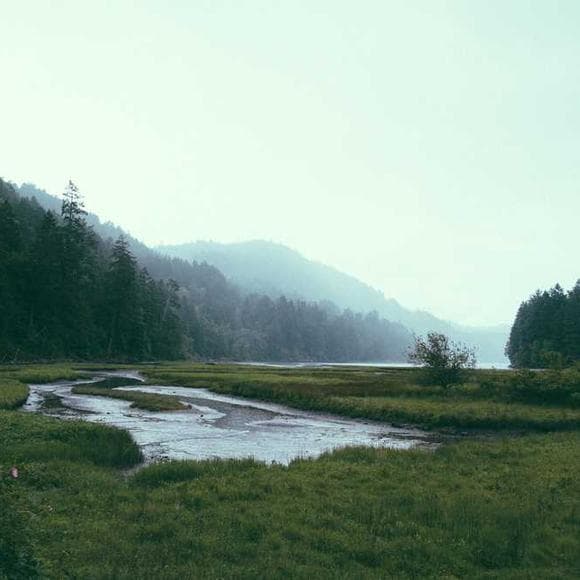 eric hoffer Quotes Kindness,Kind,Be Kind