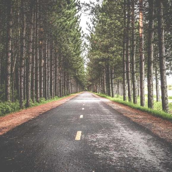 michael josephson Quotes Life,Inspirational,Defining