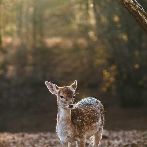 marianne williamson Quotes Divine,Beautiful Places,Divine Purpose