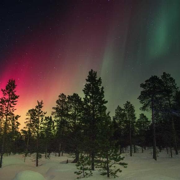 aleksandr solzhenitsyn Quotes Hunger,Begging,Belly
