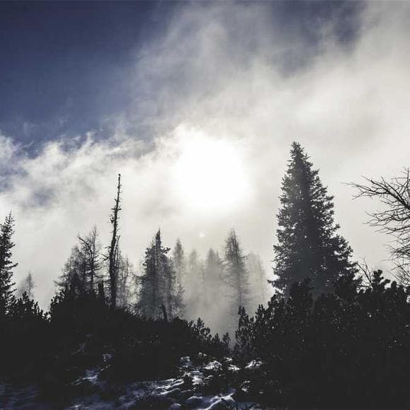 sharon salzberg Quotes Our Thoughts,Consumed,Begin Again