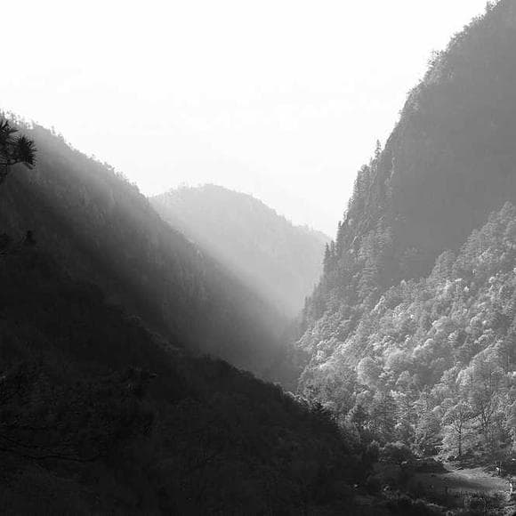 ralph waldo emerson Quotes Senses,Epic,Being Honest