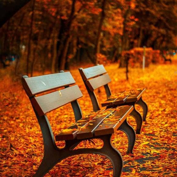 robert kiyosaki Quotes Inspiration,Something New,Rich And Poor