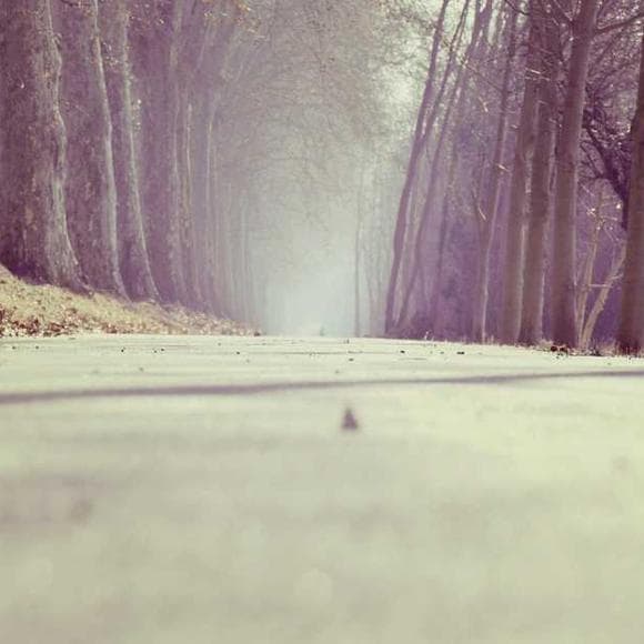 mehmet murat ildan Quotes Silly,Ridiculous,Perfection