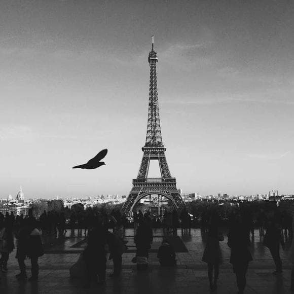 richard avedon Quotes Clue,Excellence,Features