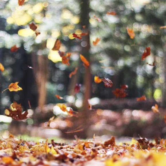 benjamin franklin Quotes Best Year,Findings,Days Of The Year