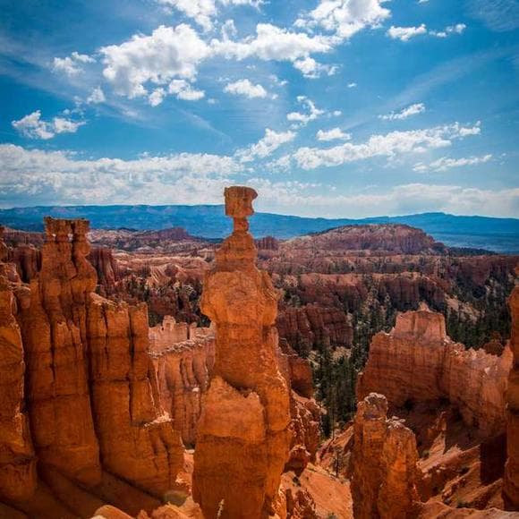 alexis carrel Quotes Changing Your Life,Finding Your Path,Marble