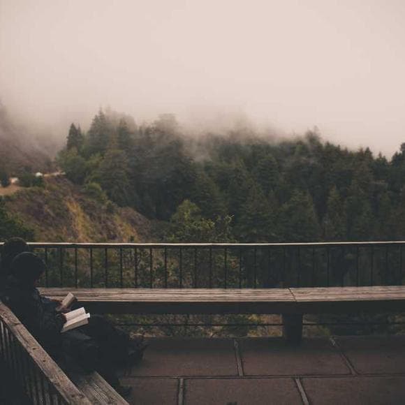 n. t. wright Quotes Fixation,Paradise,Bible