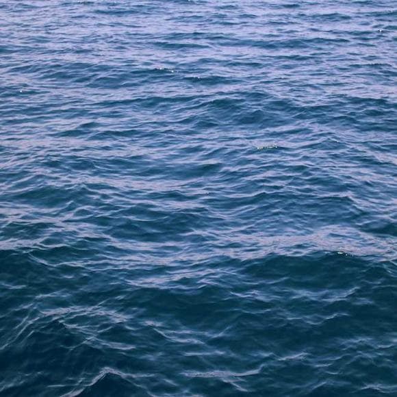 jeffrey eugenides Quotes Grieving,Getting Old,Drug