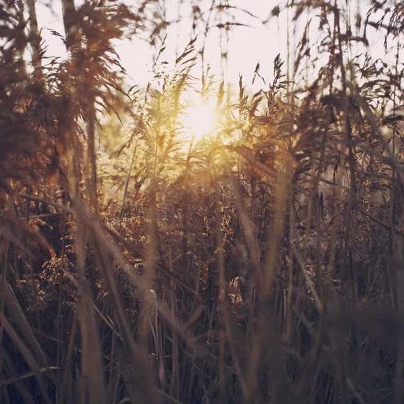 rainer maria rilke Quotes Greatness,Life,Greater