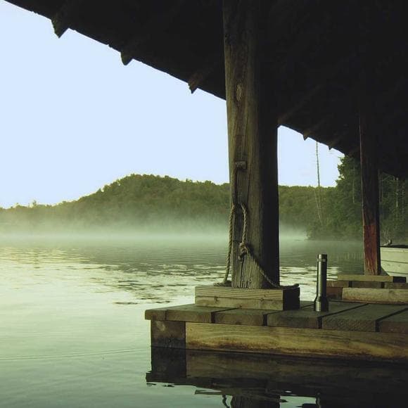 annie dillard Quotes Born,Thirty,Mao