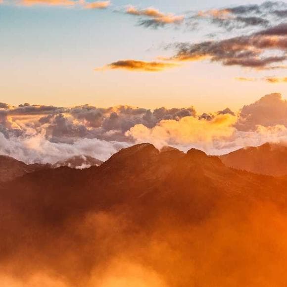 e. o. wilson Quotes Evolve,Human Mind,Biology