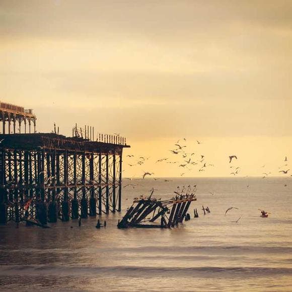 mehmet murat ildan Quotes Ethics,Mankind,Bird