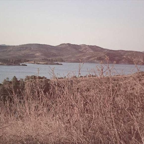 amos bronson alcott Quotes Desert,Unconsciousness,Sand