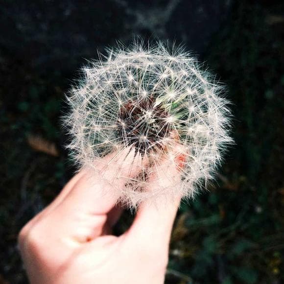 natalie goldberg Quotes Dreams You Have,Building,Force