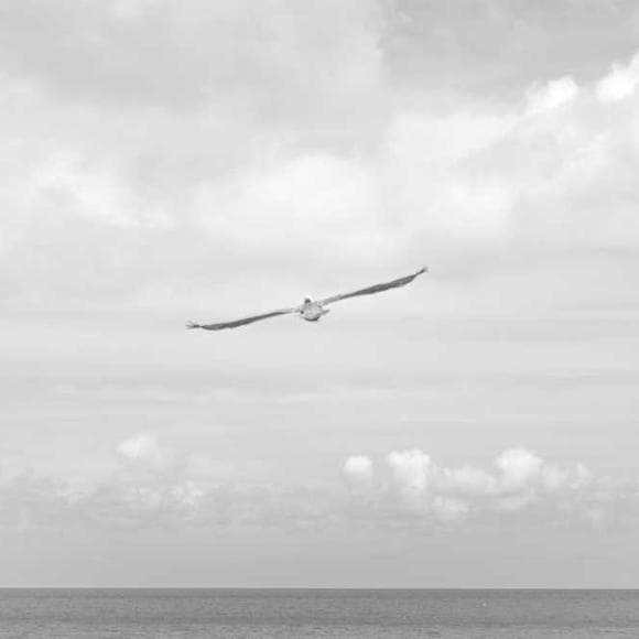 david sedaris Quotes Concealed,Blades,Razors