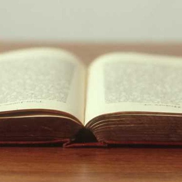 veronica roth Quotes Noses,Bleeding,Idiocy