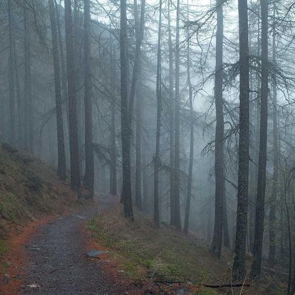 pierre teilhard de chardin Quotes Bless,Without You,Stagnant