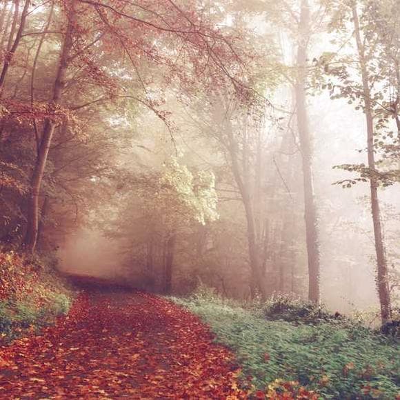 ralph waldo emerson Quotes Mystic,Good Life,Satan