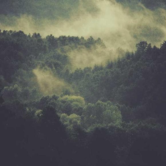 william shakespeare Quotes Enjoy,Pale,Moon