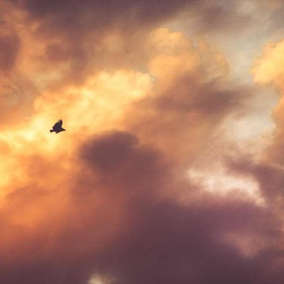 meg rosoff Quotes Blue Sky,Lying,Golden
