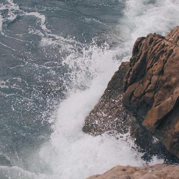 susan orlean Quotes Bravery,Fake,Real Life