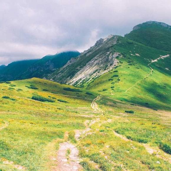 edith wharton Quotes Breaths
