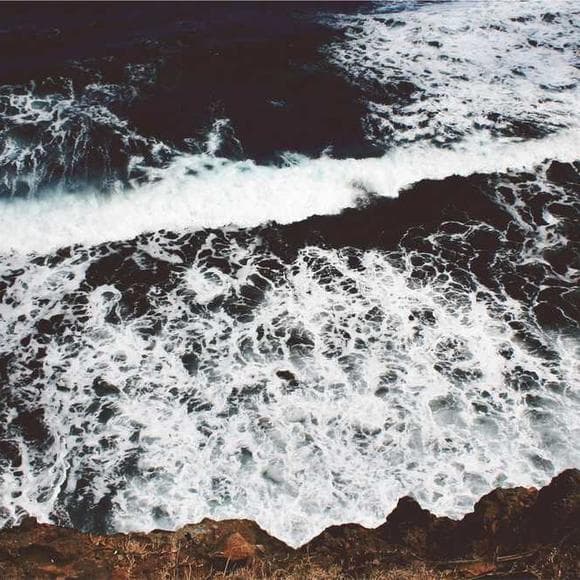 tyler knott gregson Quotes Storm,Rage,Breeze