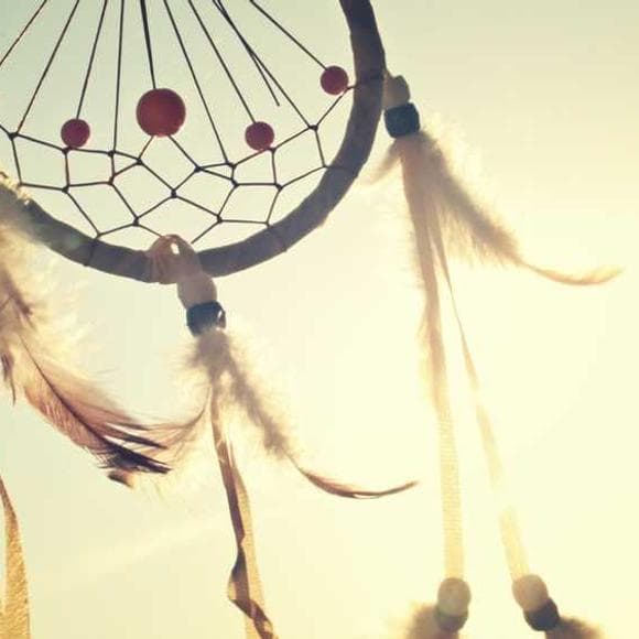nhat hanh Quotes Perception,Conviction,Caught