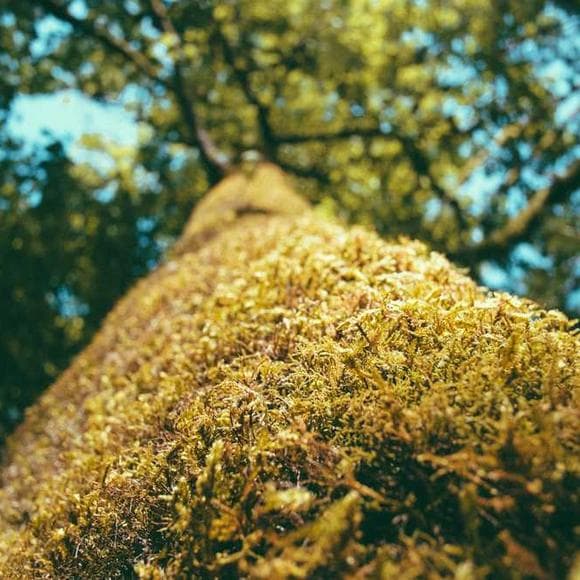 brian kernighan Quotes Users,New Class,Bugs