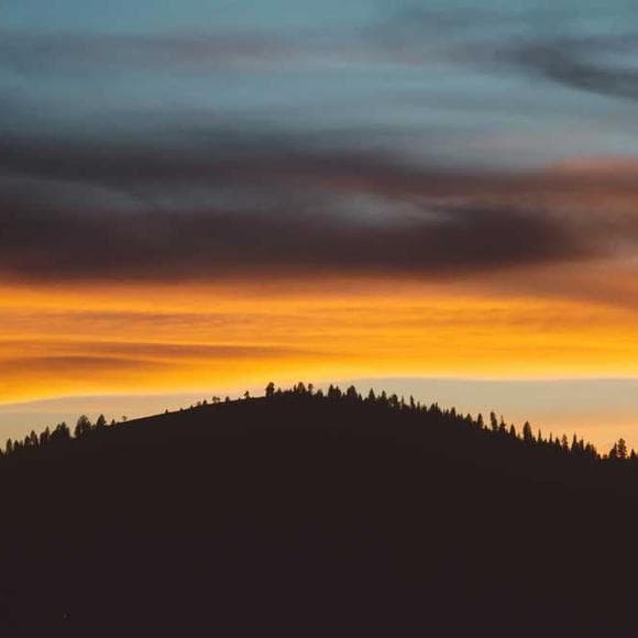 eric hoffer Quotes Insight,Praise,Conception