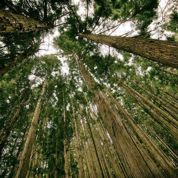 dallin h. oaks Quotes Fear Not,Built,Earth