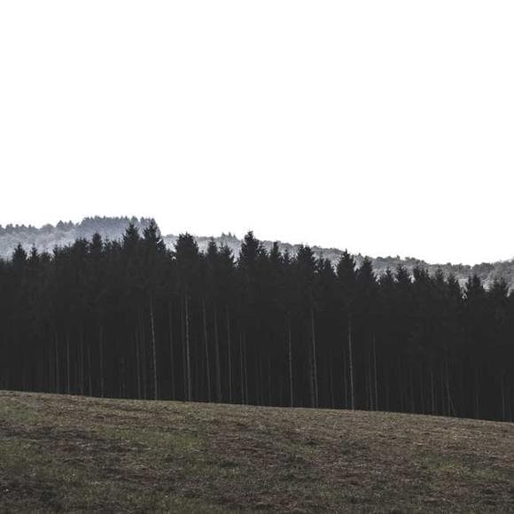 christopher paolini Quotes One Man,Buried,Inheritance