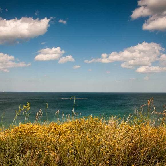 napoleon hill Quotes Retreat,Ships,Think And Grow Rich