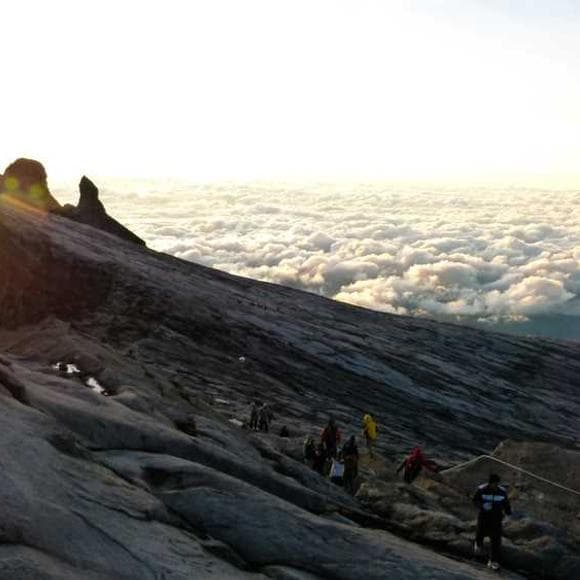 haile gebrselassie Quotes Business World