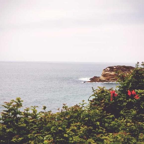 dominic roussel Quotes Relax,No Problem,Stress